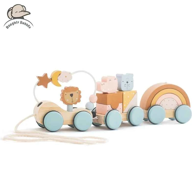Montessori Wooden Pull Along Toy