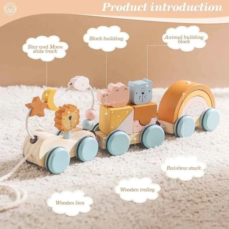 Montessori Wooden Pull Along Toy