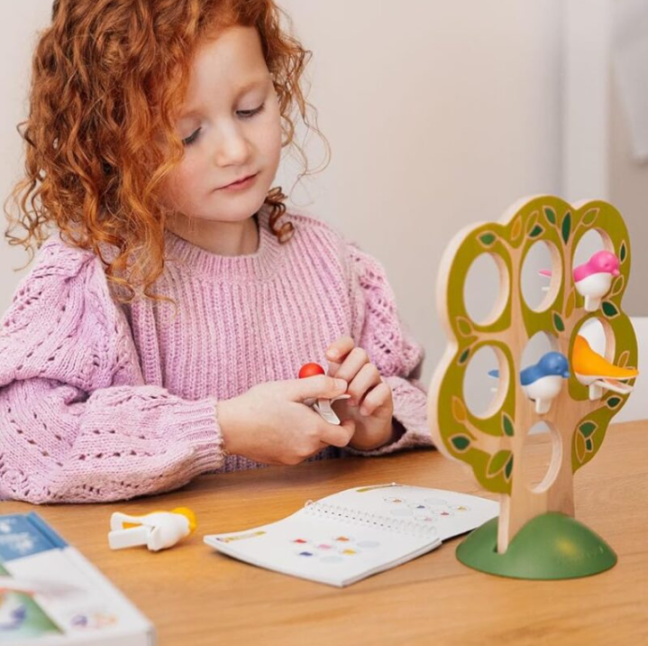5 Little Birds by Smart Games