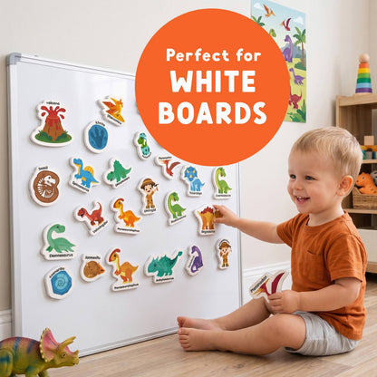 Child playing with dinosaur magnets on a whiteboard in a classroom setting