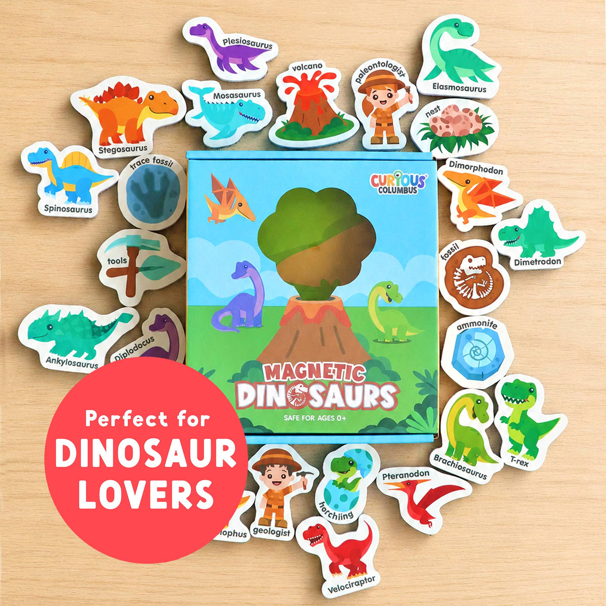 Curious Columbus Magnetic Dinosaur