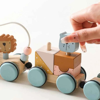 Montessori Wooden Pull Along Toy