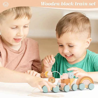 Montessori Wooden Pull Along Toy