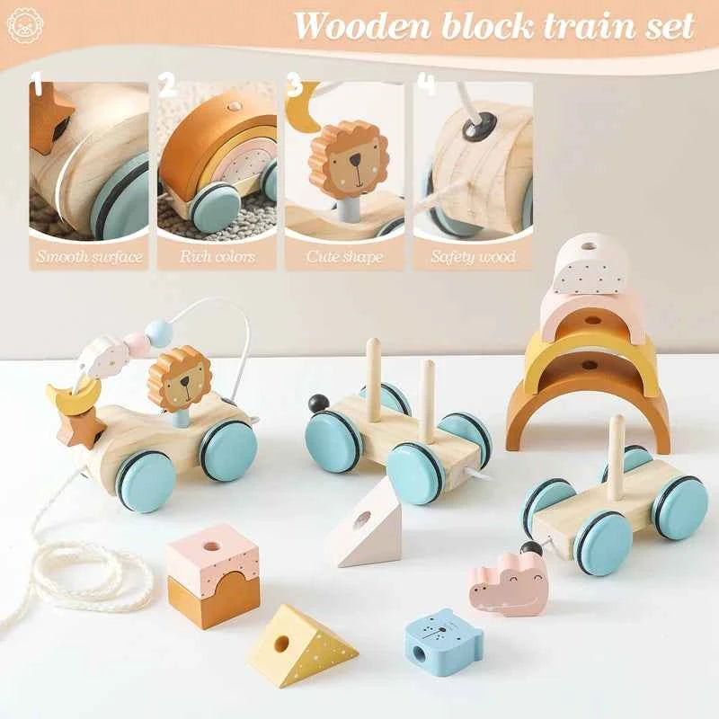 Montessori Wooden Pull Along Toy