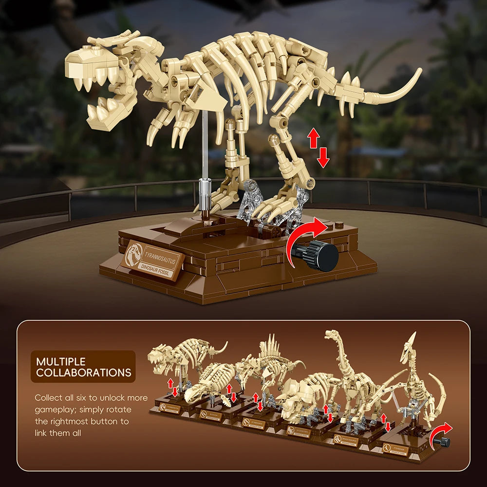 3D Dinosaur Fossil Building Set – Educational Skeleton Model - Lulliyo