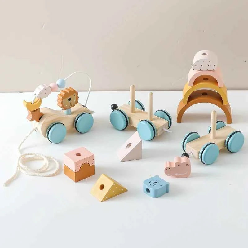 Montessori Wooden Pull Along Toy