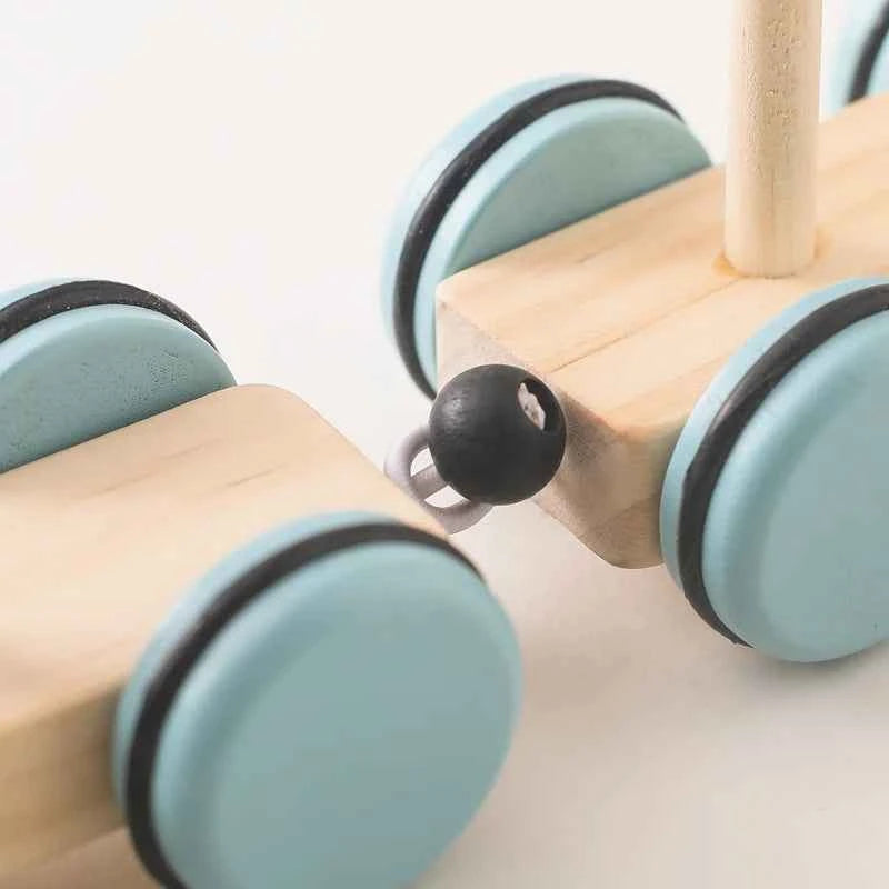 Montessori Wooden Pull Along Toy