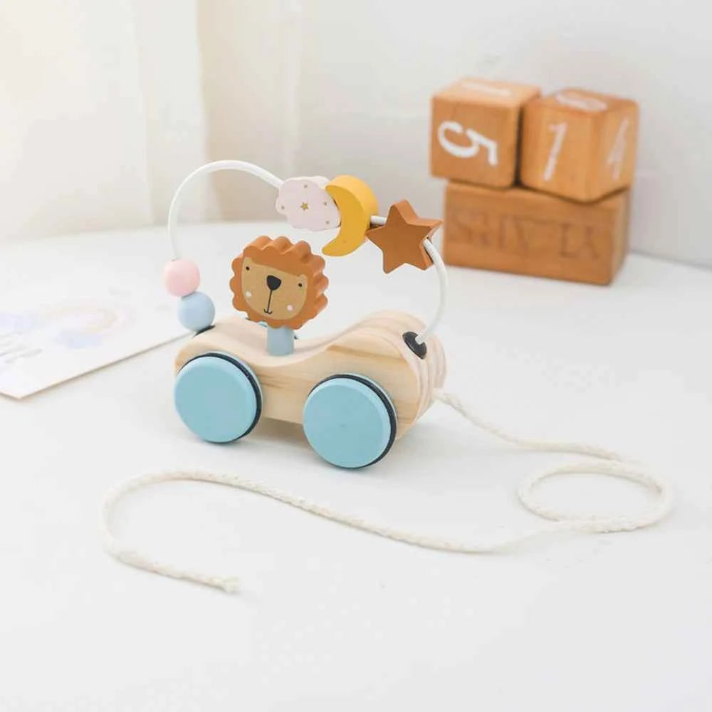 Montessori Wooden Pull Along Toy