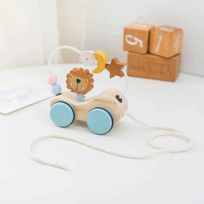 Montessori Wooden Pull Along Toy