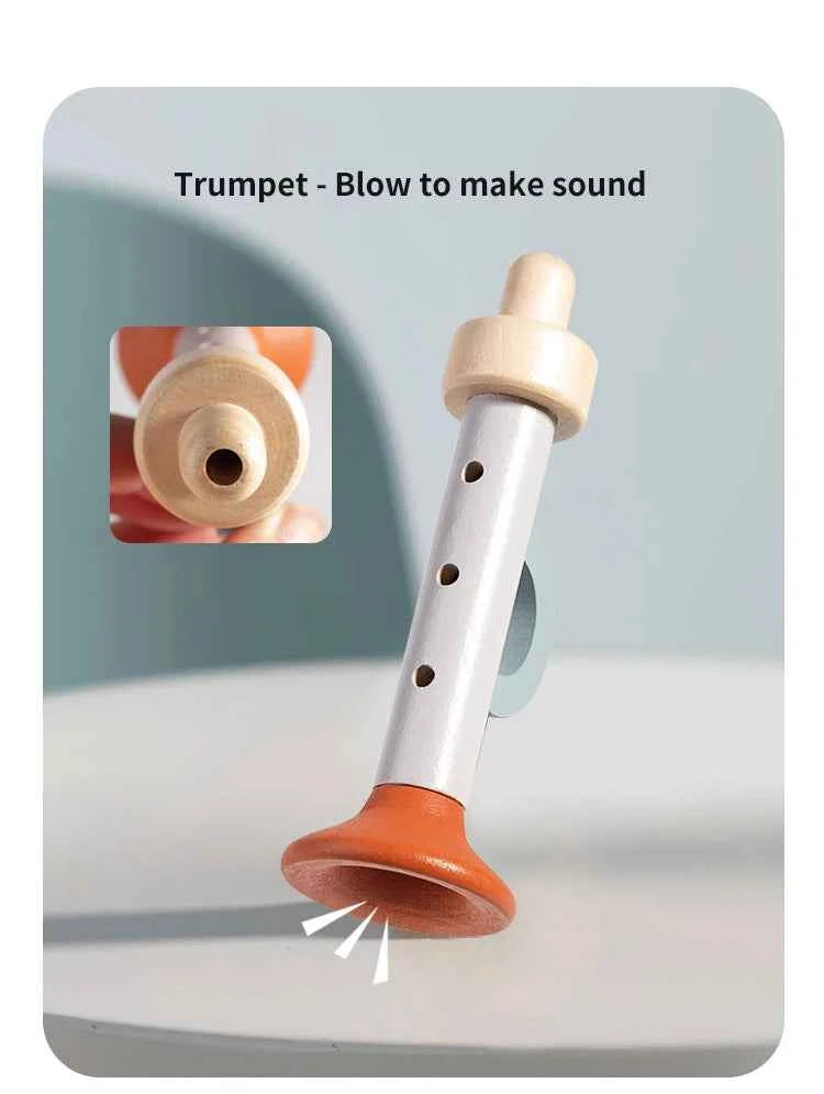 Baby Musical Instruments 5 pc Set